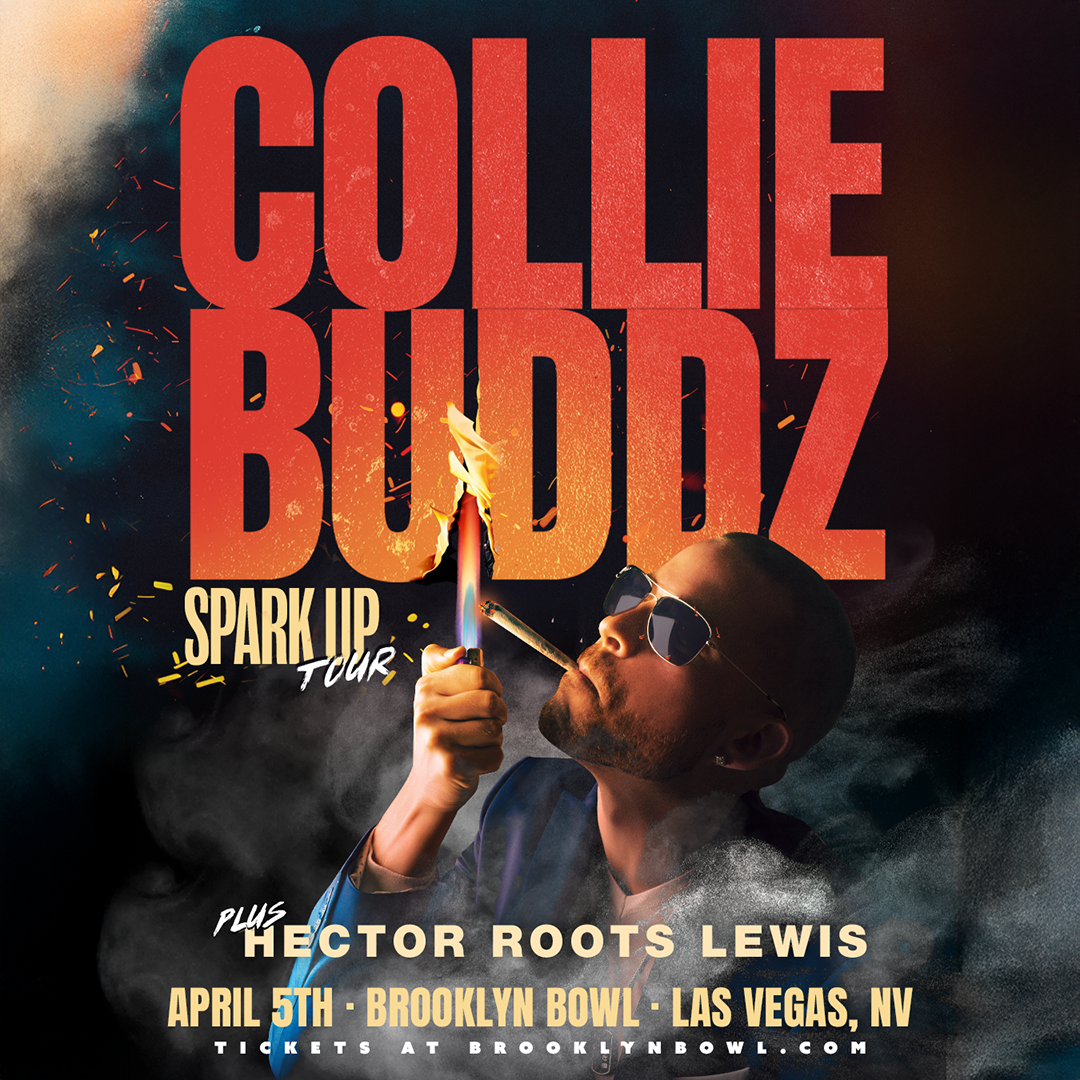 More Info for Collie Buddz