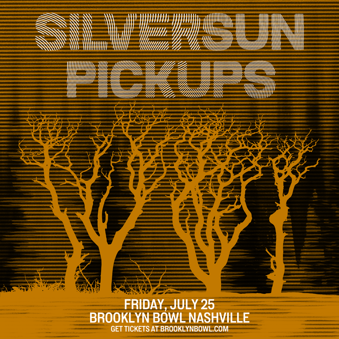 More Info for Silversun Pickups